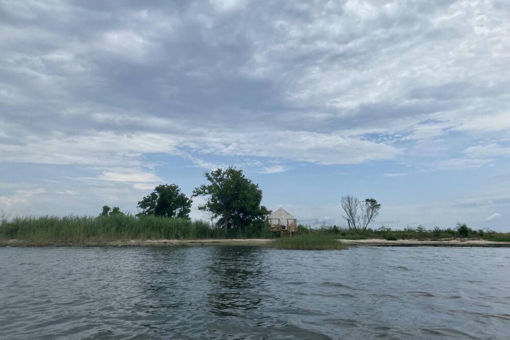 Photo of Others in Mandeville