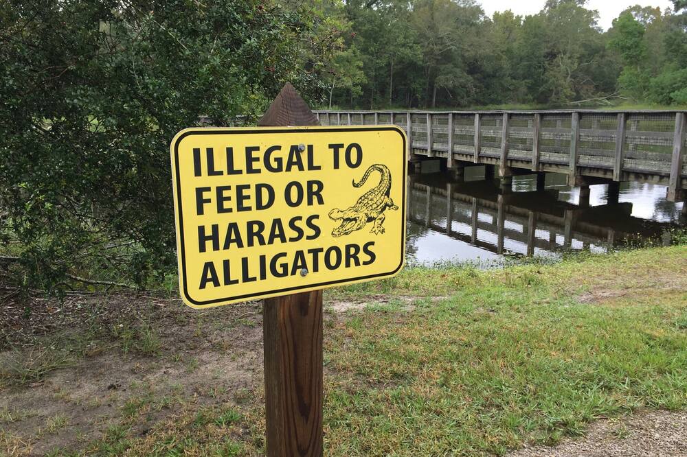 Photo of Others in Mandeville