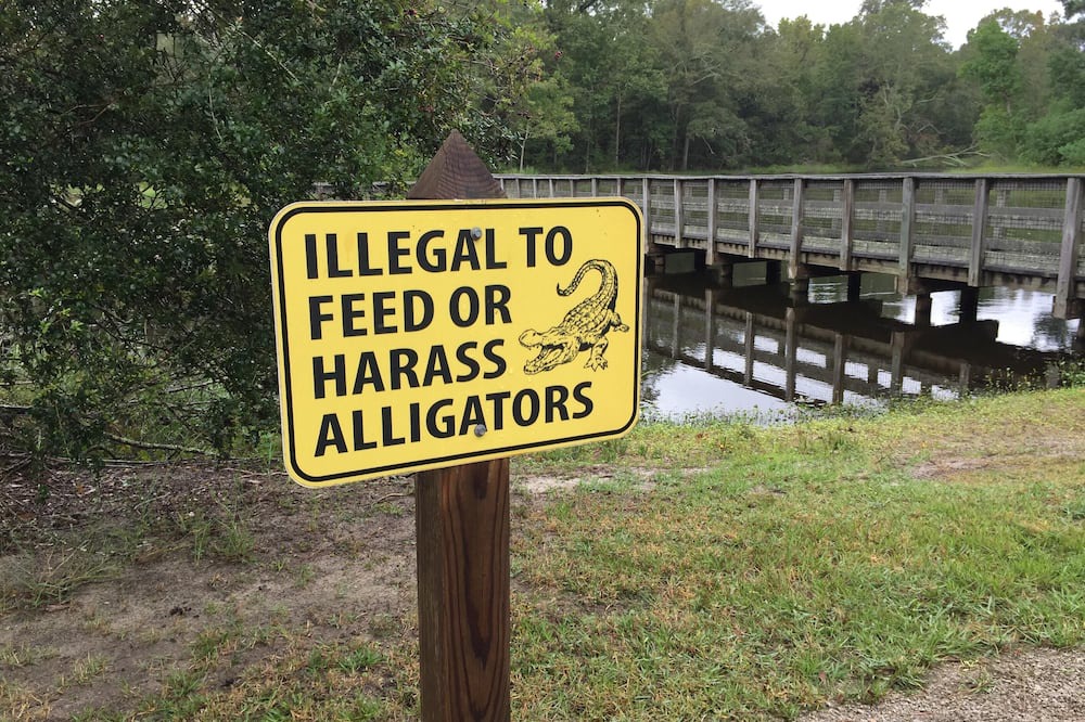Photo of Others in Mandeville