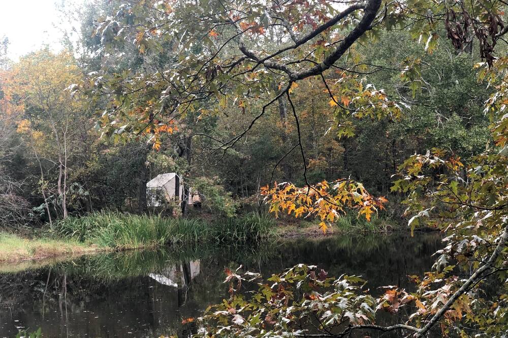 Photo of Others in Mandeville