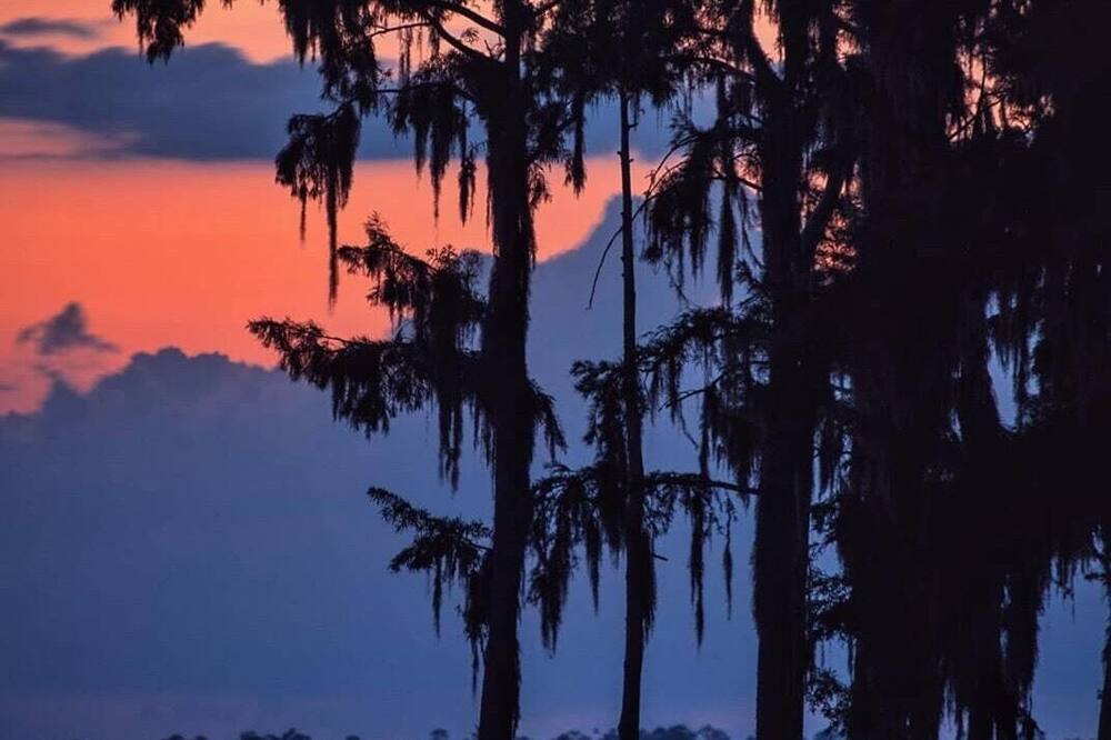 Photo of Others in Mandeville