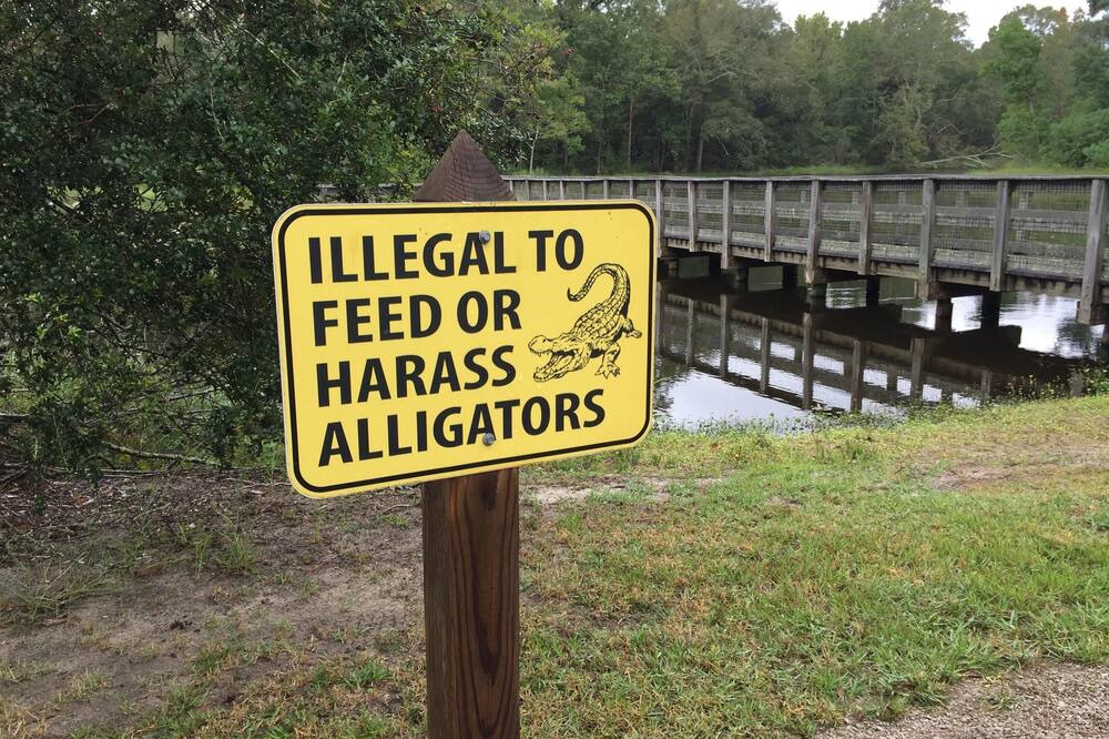 Photo of Others in Mandeville