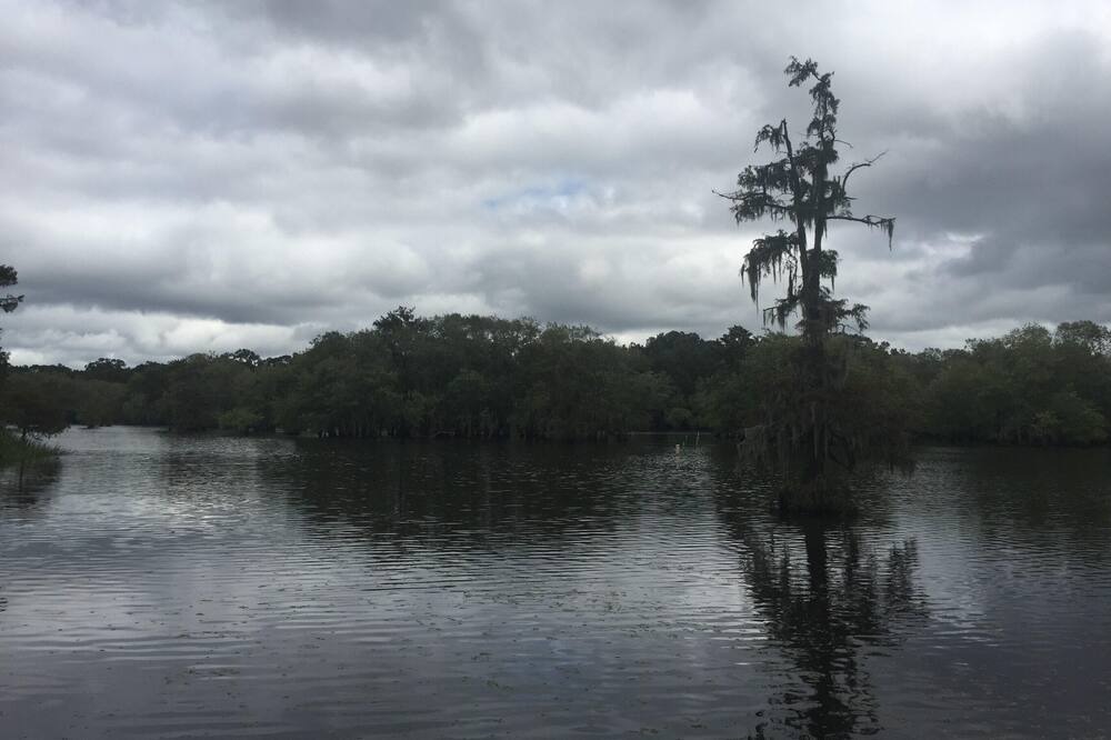 Photo of Others in Saint Landry