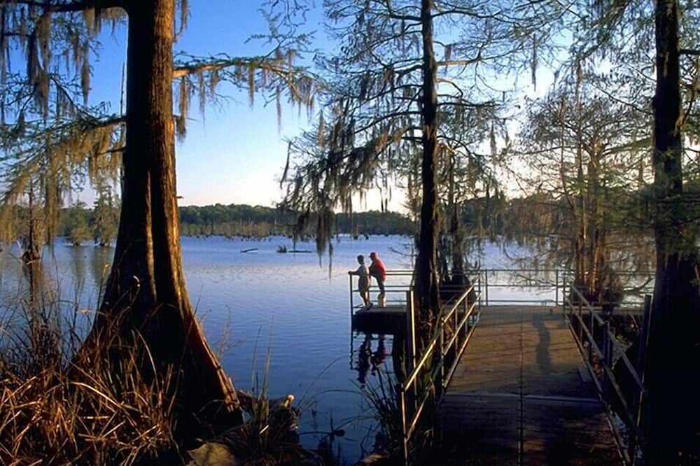 Photo of Others in Saint Landry