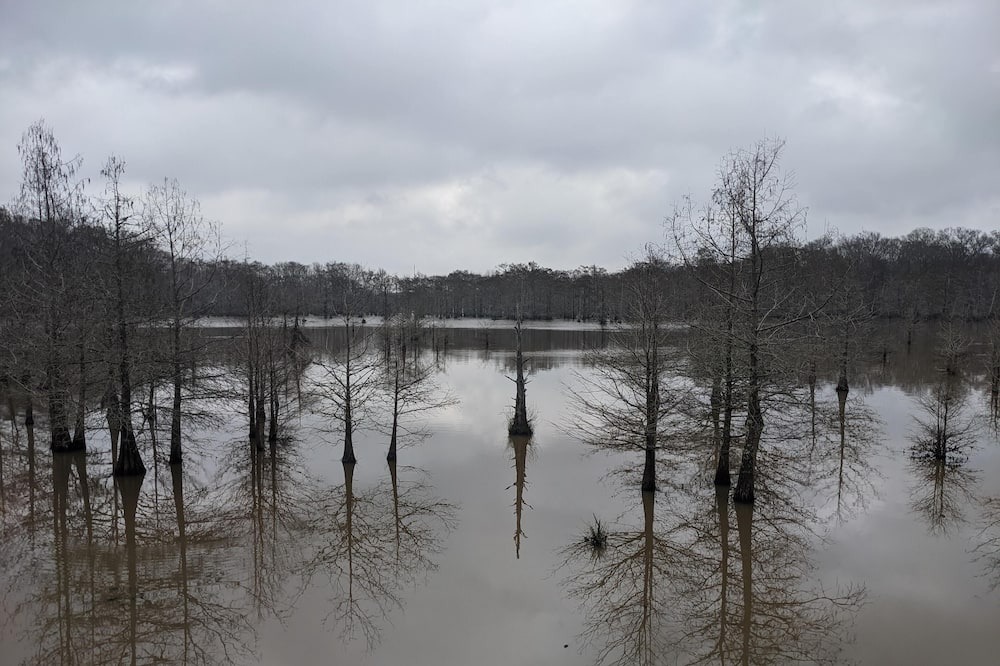 Photo of Others in Saint Landry