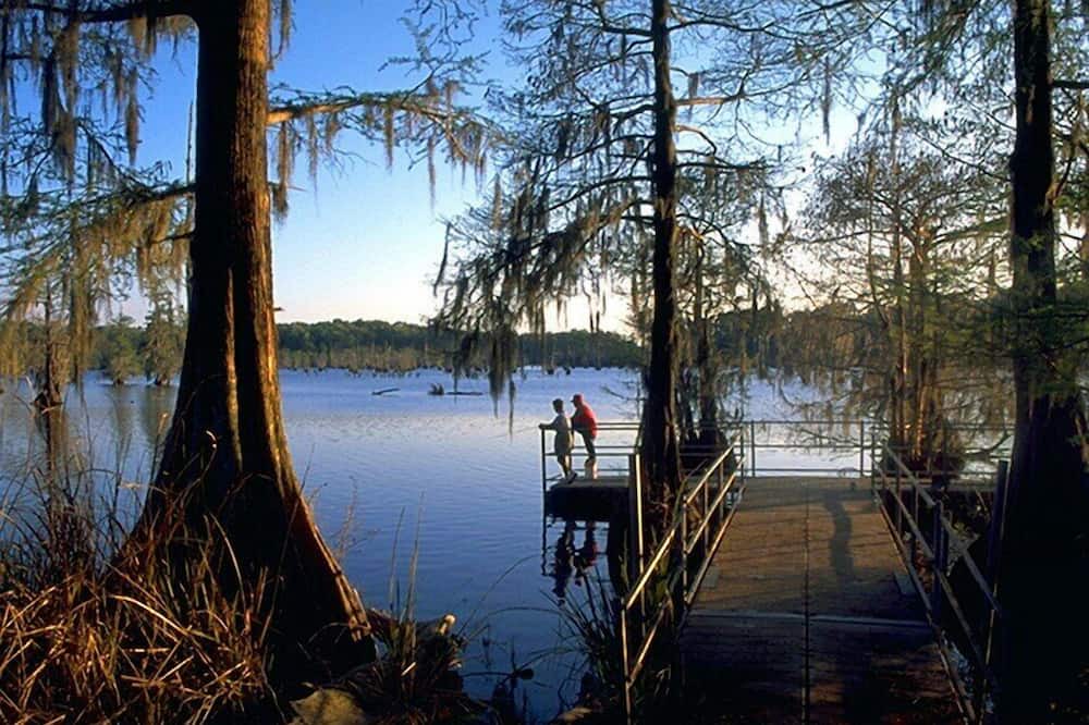 Photo of Others in Saint Landry