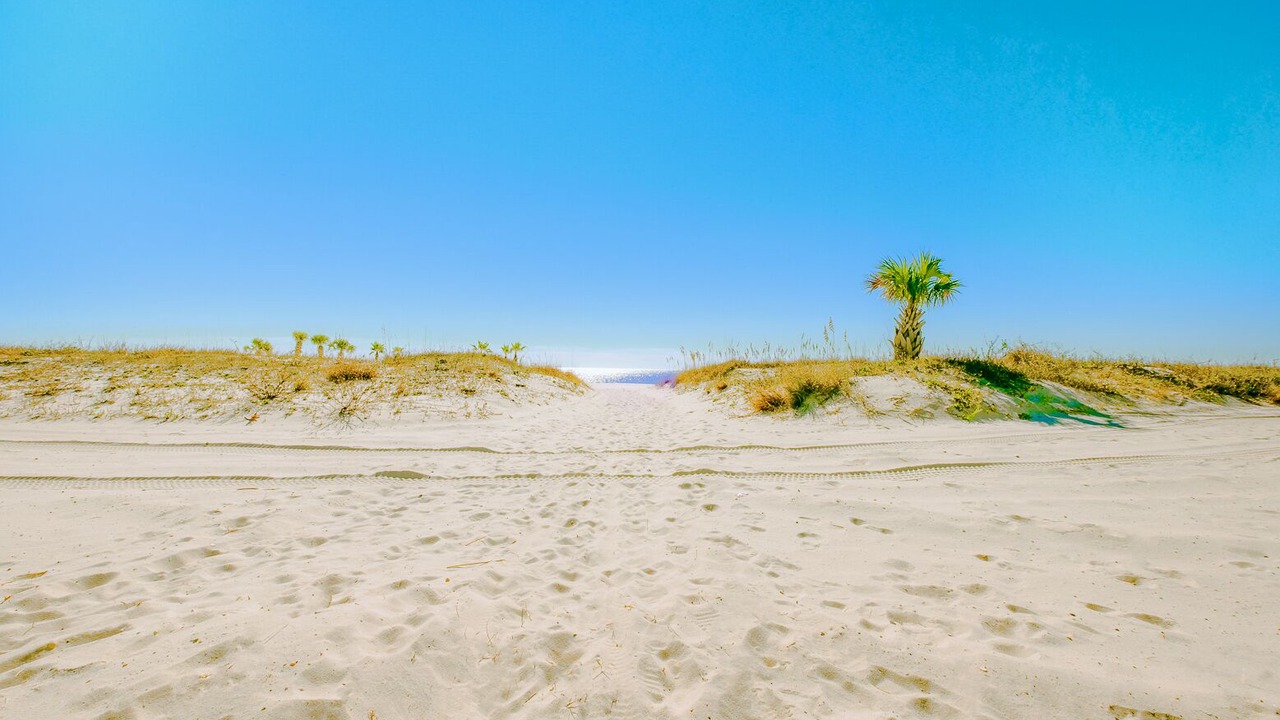 Photo of Others in Biloxi
