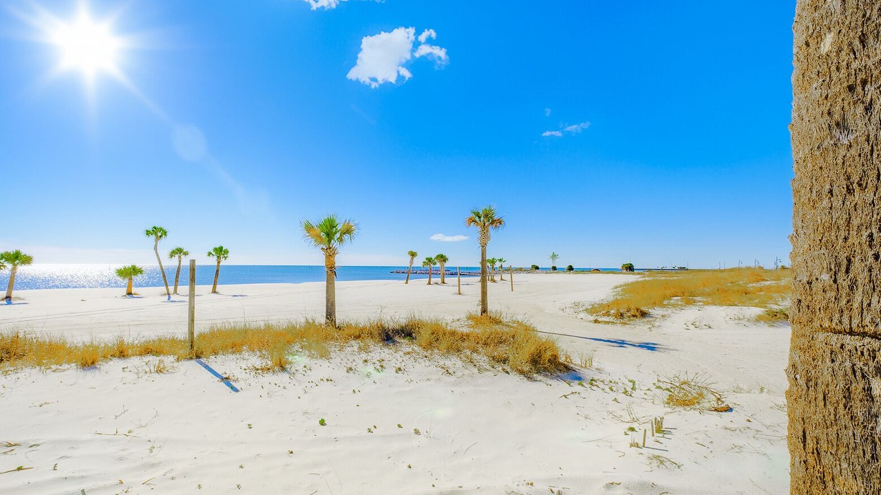 Photo of Others in Biloxi