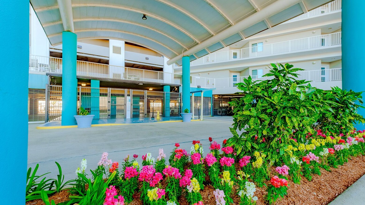 Photo of Outdoor in Biloxi