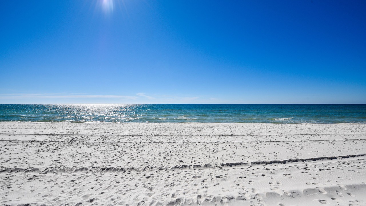 Photo of Others in Riviera Beach