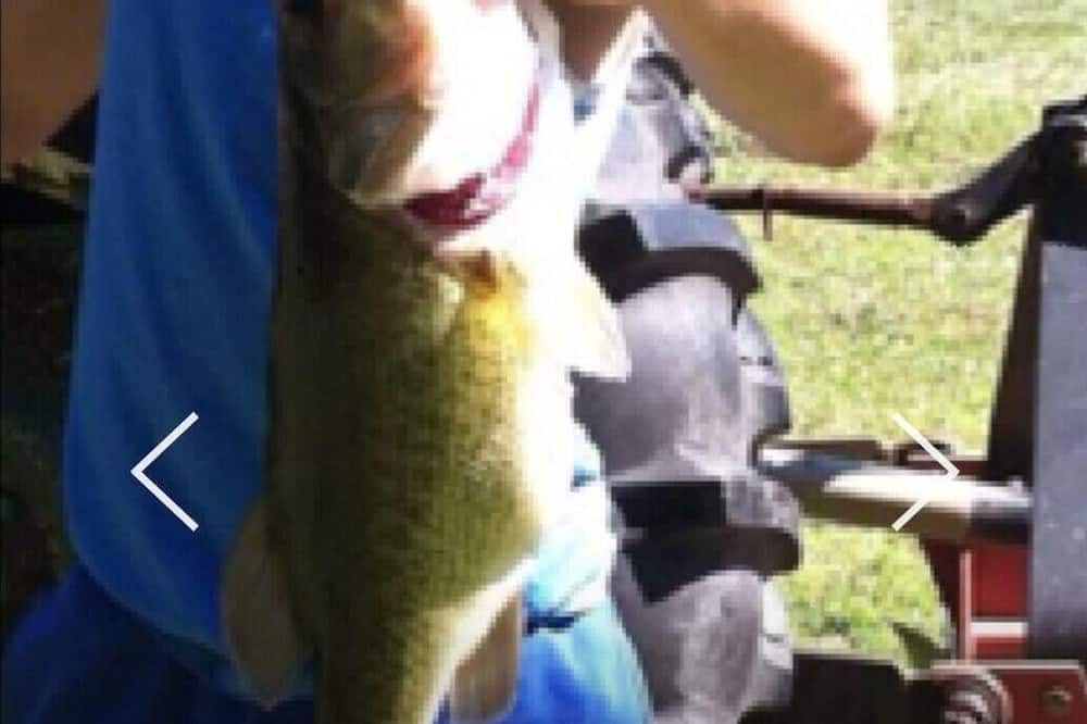 Photo of Others in Poplarville