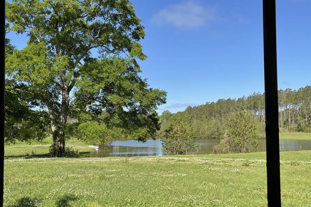 Photo of Outdoor in Magnolia