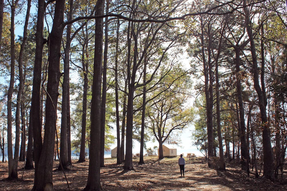 Photo of Others in Anacoco