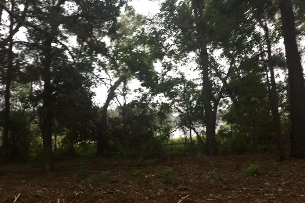 Photo of Others in Anacoco