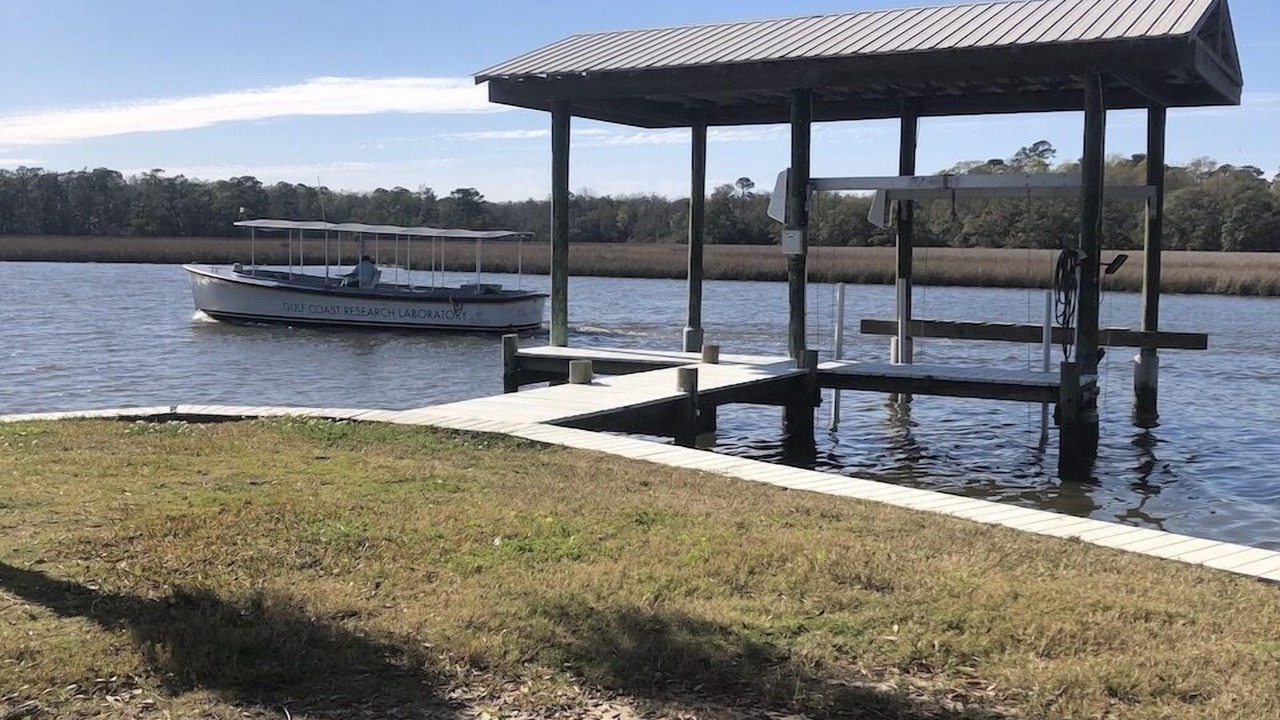 Photo of Others in Ocean Springs