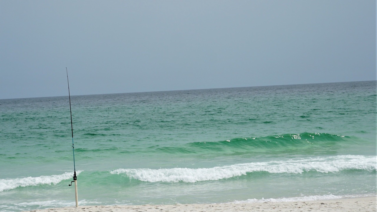 Photo of Others in Pensacola