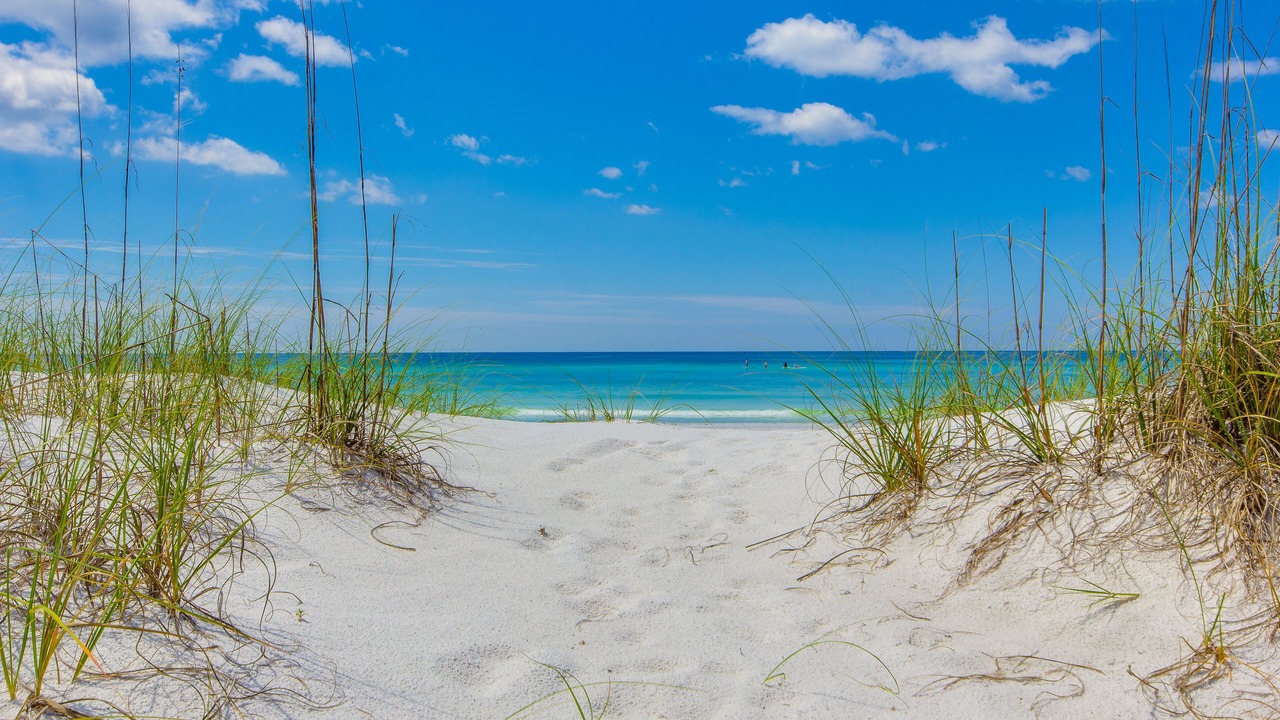 Photo of Outdoor in White's Gulfview