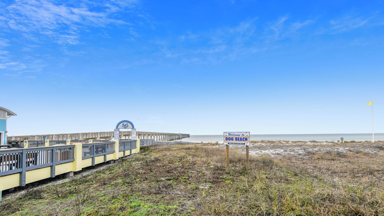 Photo of Outdoor in Summer Breeze