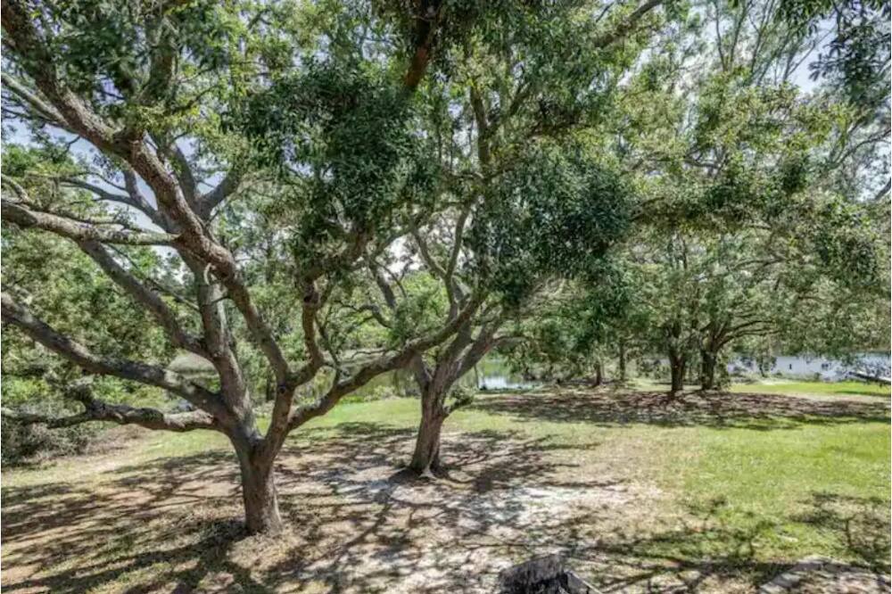 Photo of Outdoor in Pensacola