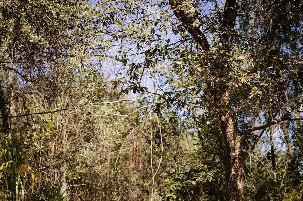 Photo of Outdoor in Fairhope