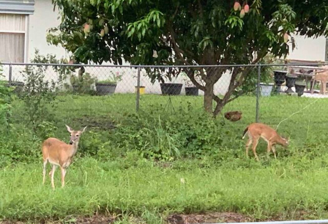 Photo of Outdoor in Port Malabar