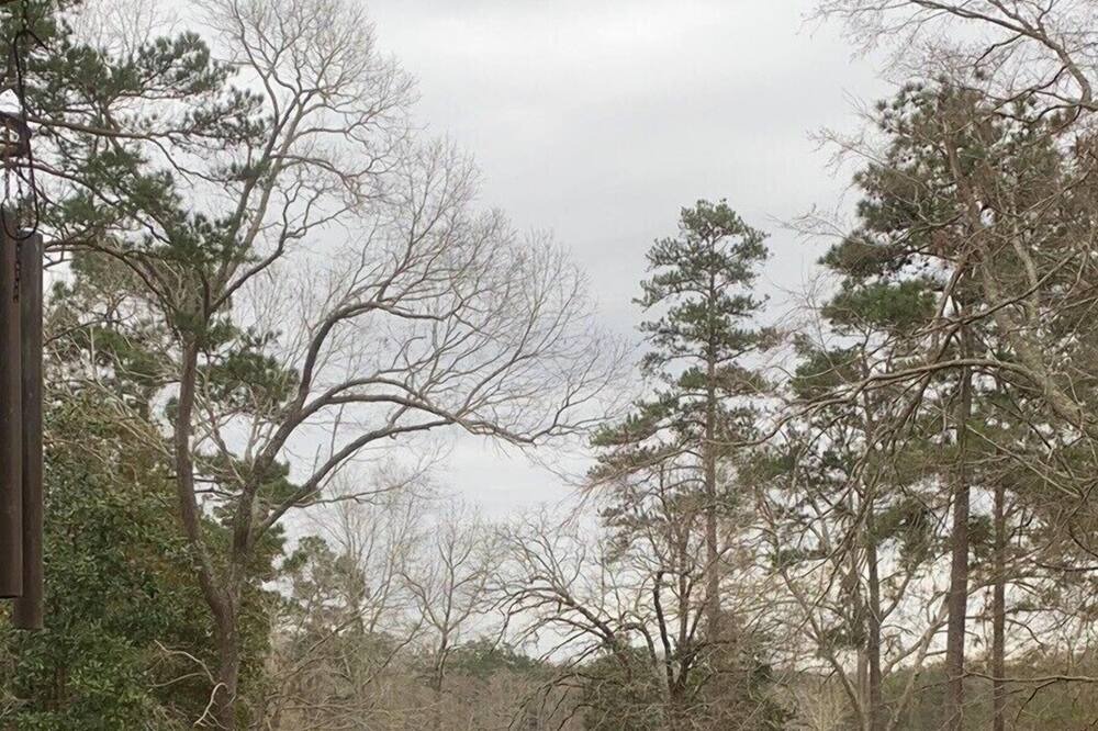 Photo of Others in San Augustine
