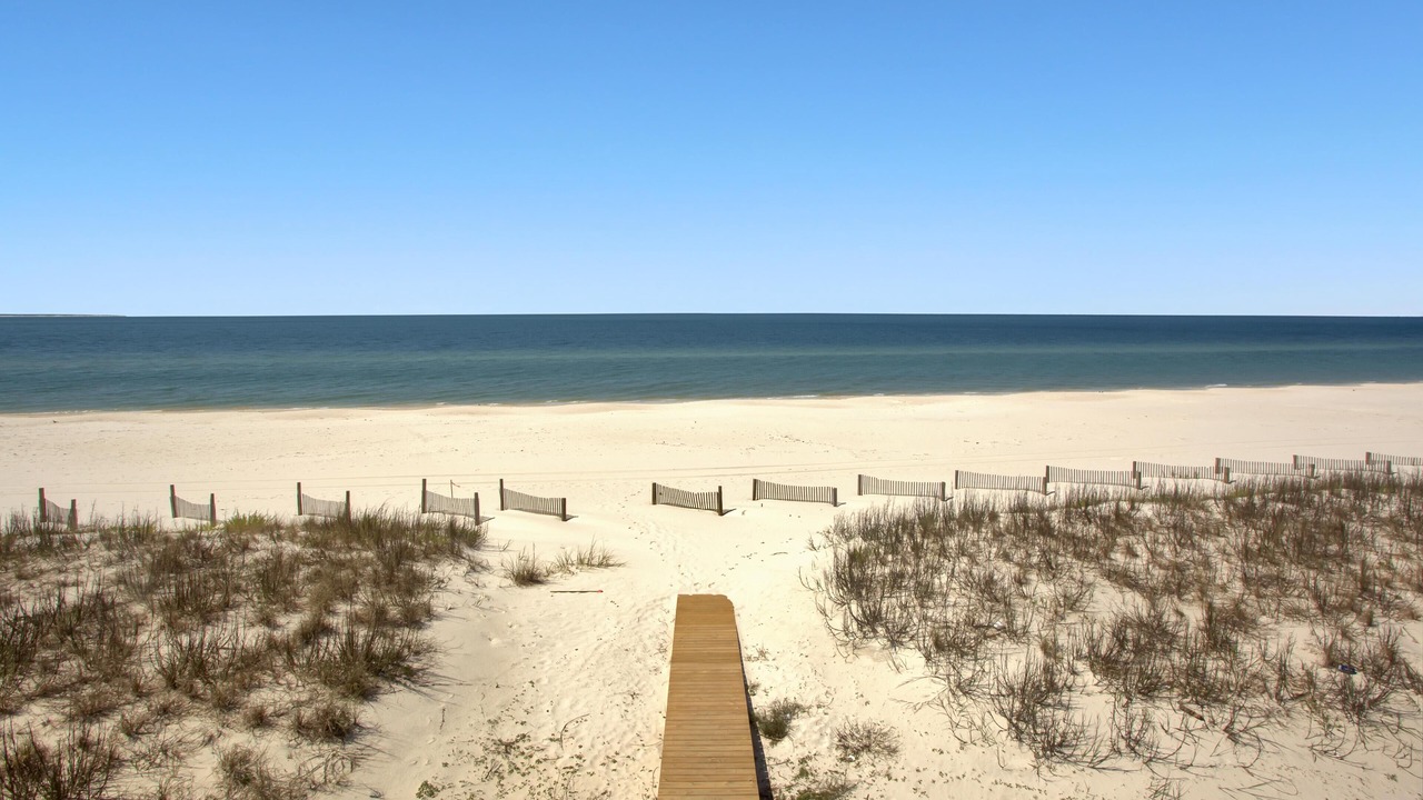 Photo of Others in Mexico Beach