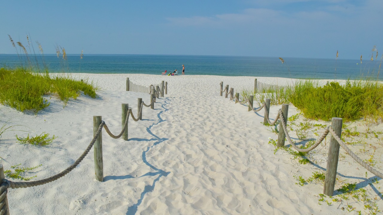 Photo of Others in Mexico Beach