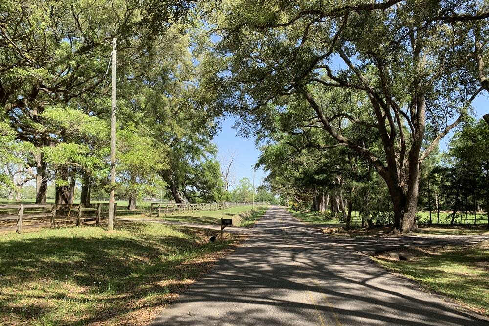 Photo of Outdoor in Fairhope