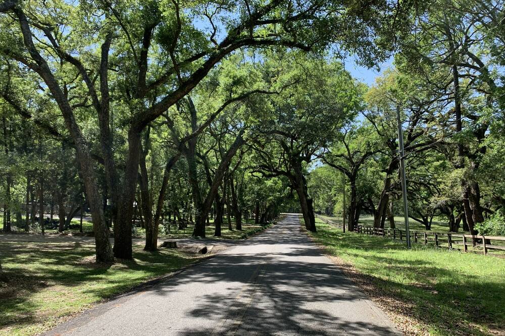 Photo of Outdoor in Fairhope