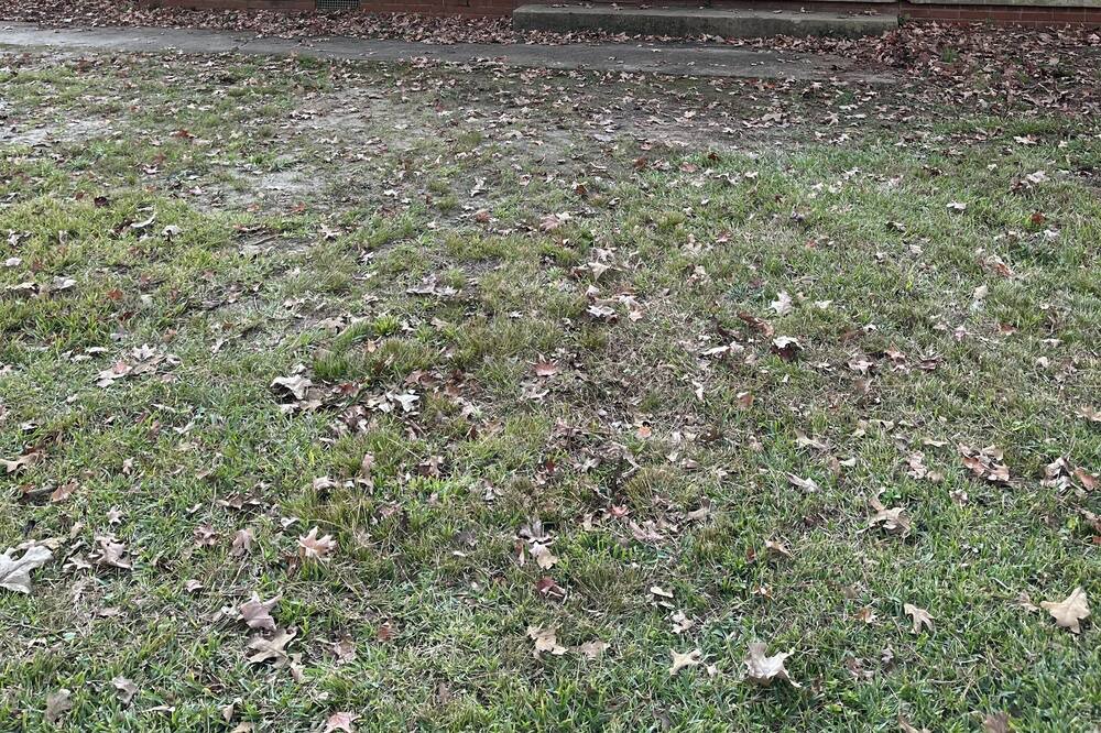 Photo of Outdoor in Jackson