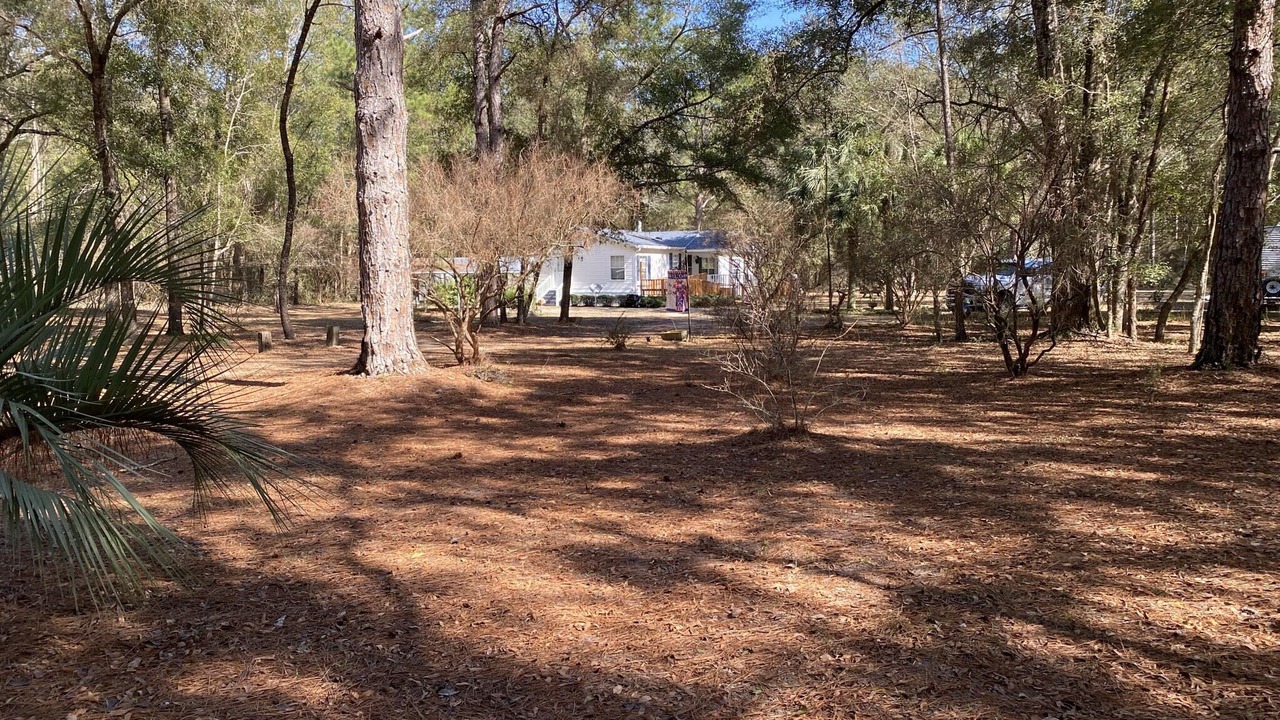 Photo of Outdoor in Crawfordville
