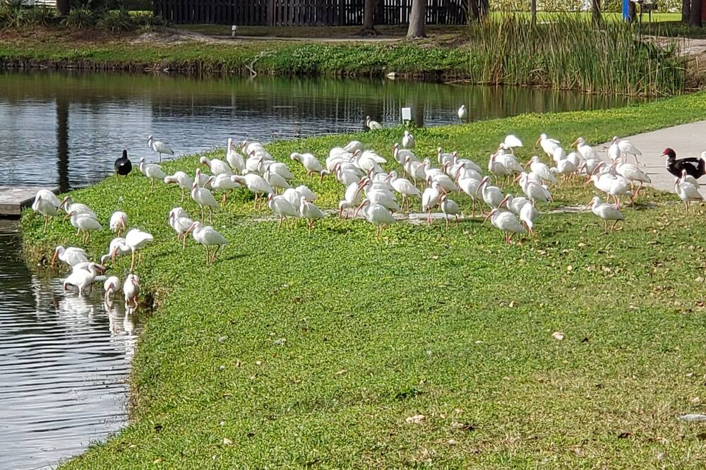 Photo of Others in South Daytona