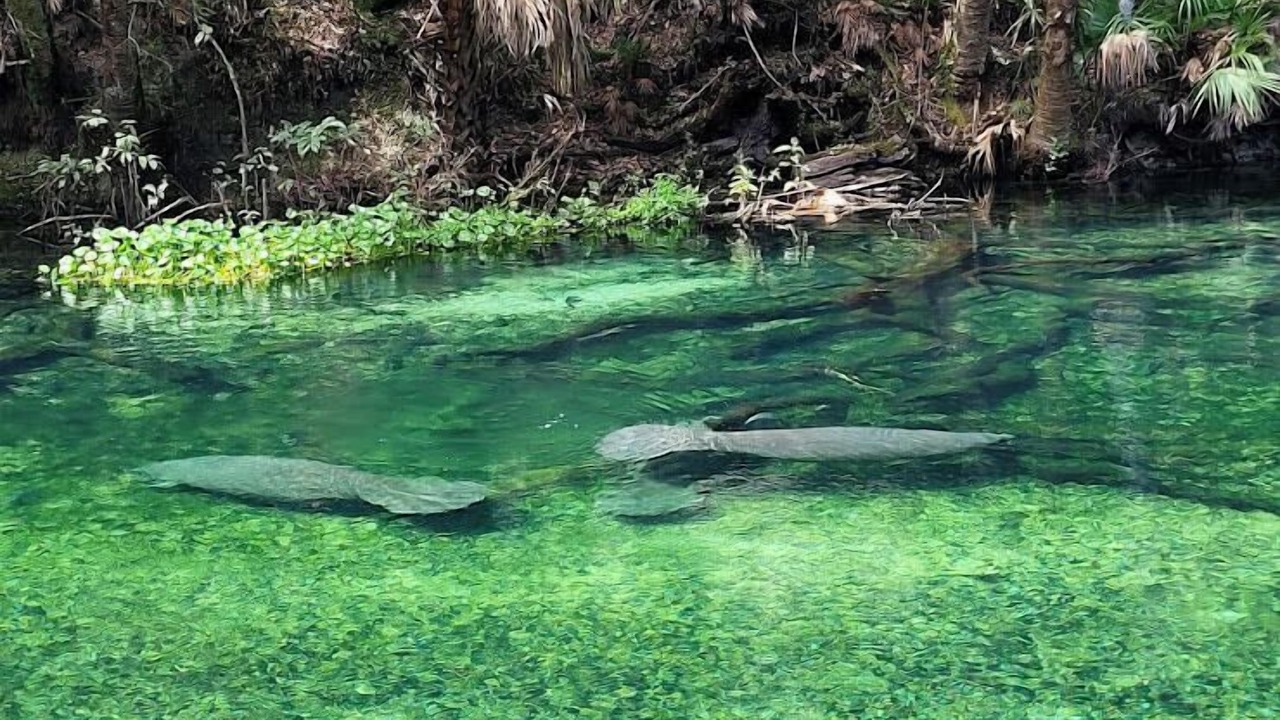 Photo of Others in Lake Helen