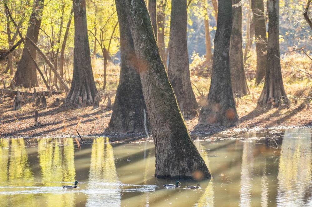 Photo of Others in Jackson