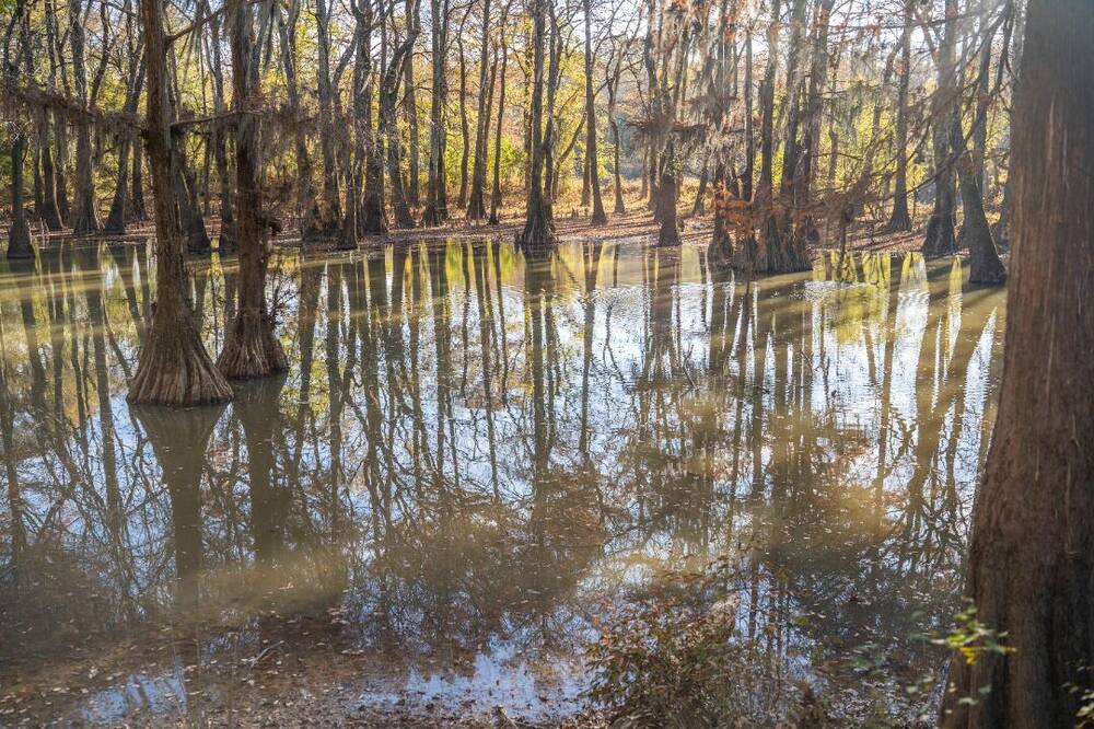 Photo of Outdoor in Jackson