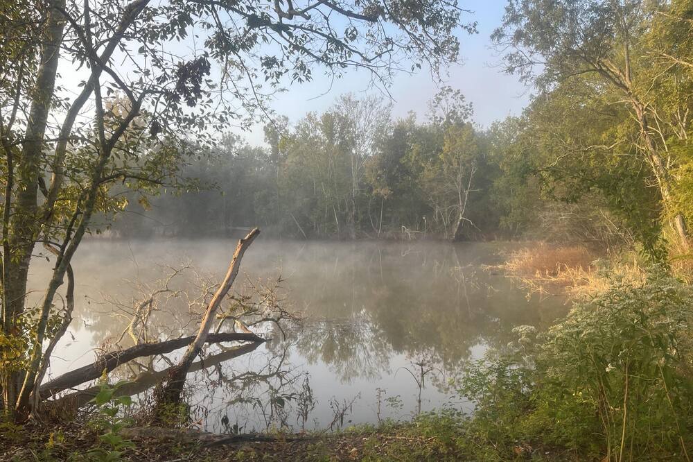 Photo of Outdoor in Iberia Parish