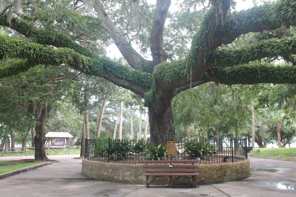 Photo of Outdoor in Panama City
