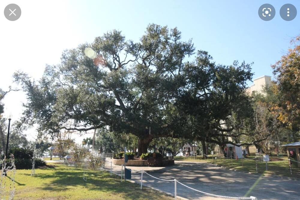 Photo of Outdoor in Panama City