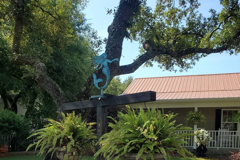 Photo of Outdoor in Magnolia Bluffs