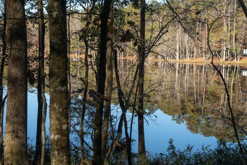 Photo of Others in Quitman