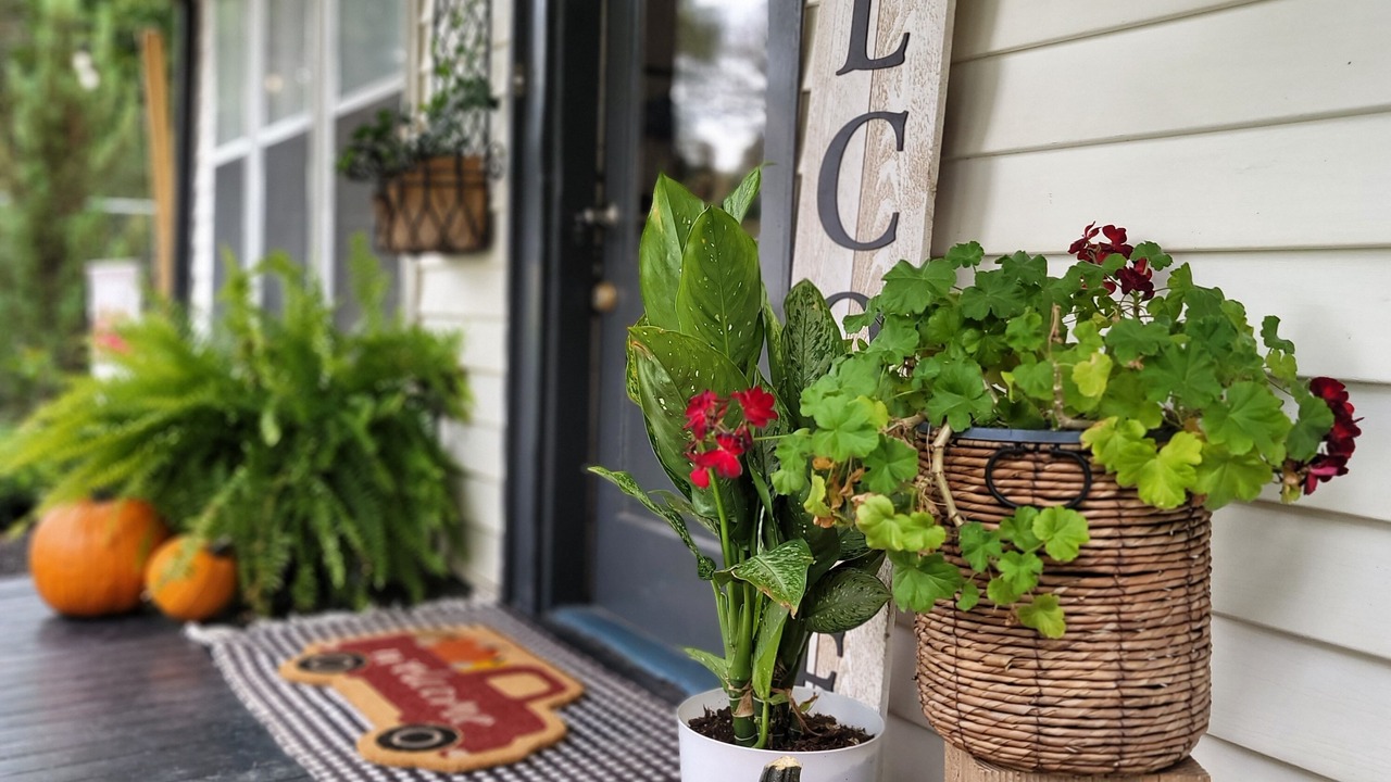 Photo of Outdoor in Elysian Fields