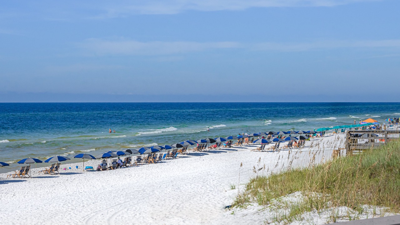 Photo of Others in Santa Rosa Beach