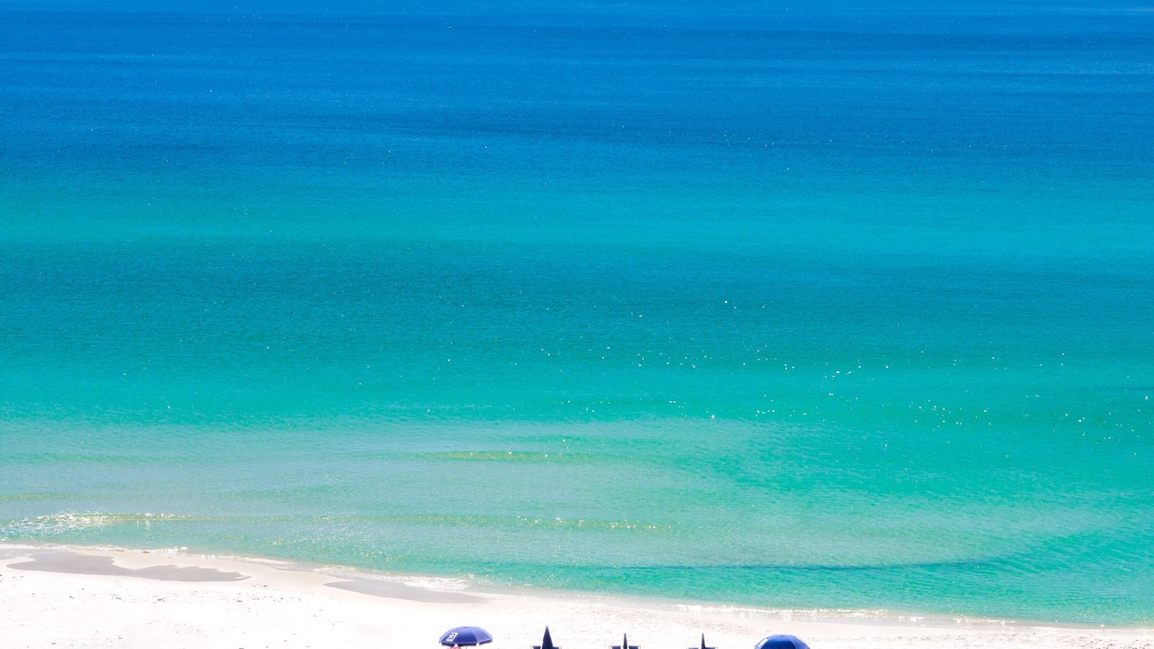 Photo of Others in Santa Rosa Beach
