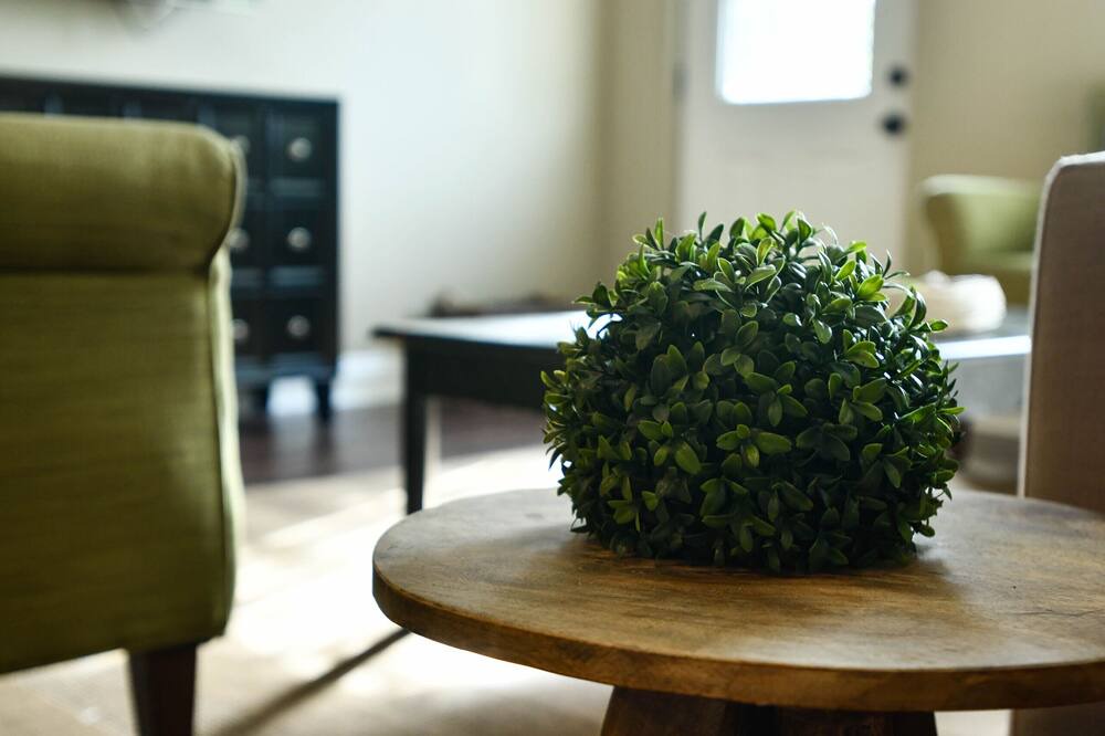 Photo of Livingroom in Mid-City