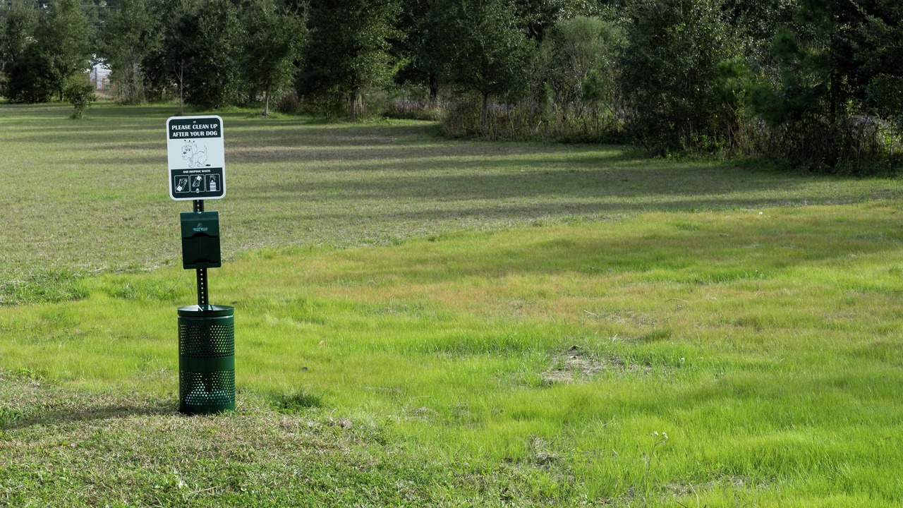 Photo of Outdoor in Northside