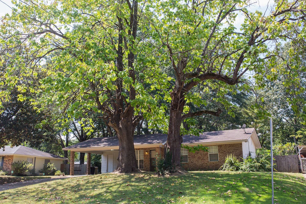Photo of Outdoor in Ridgeland