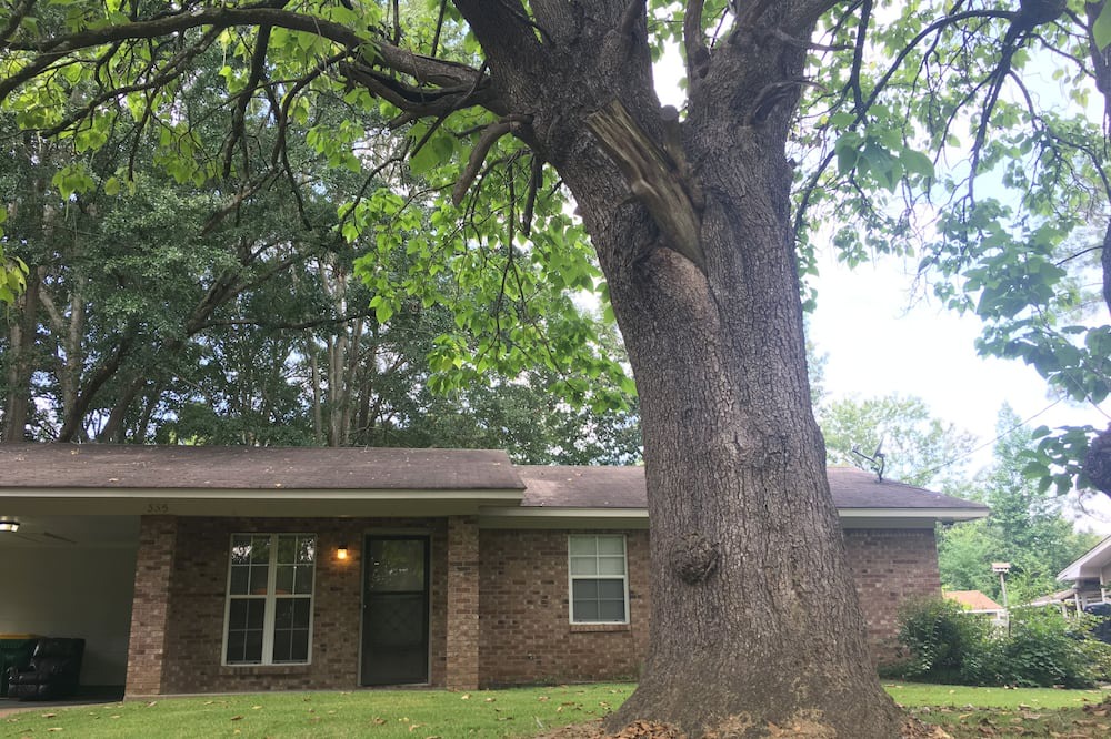 Photo of Outdoor in Ridgeland