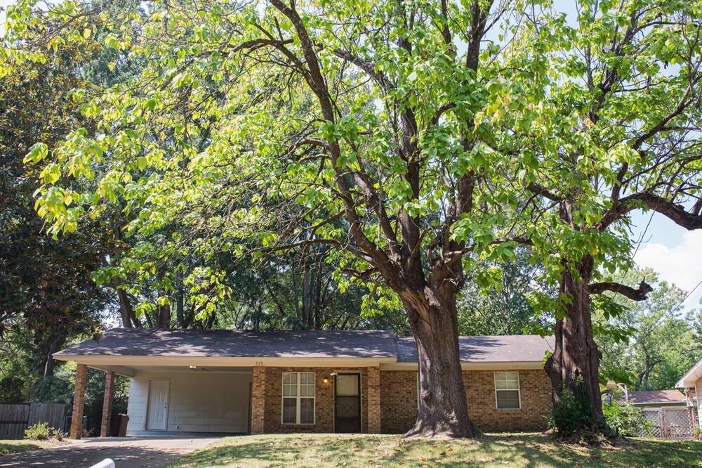 Photo of Outdoor in Ridgeland