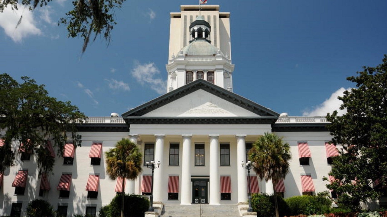Photo of Others in Tallahassee